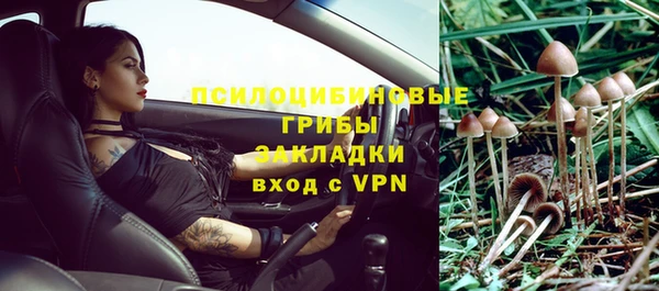 тгк Алексин