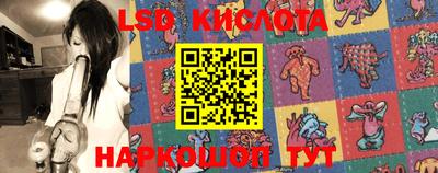 Альфа ПВП Кимры
