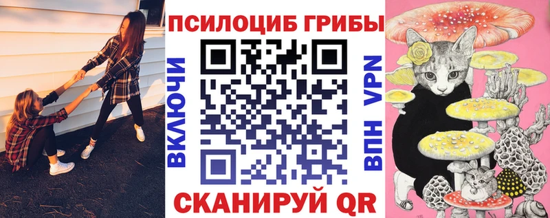 где найти   Михайловск  Псилоцибиновые грибы ЛСД 