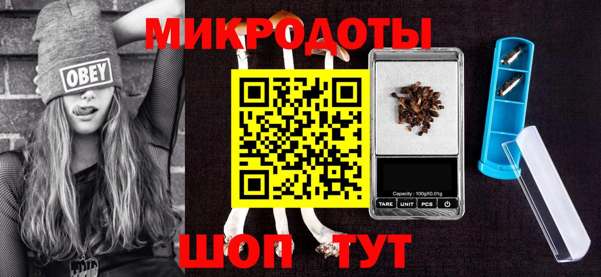 Псилоцибиновые грибы Cubensis Михайловск