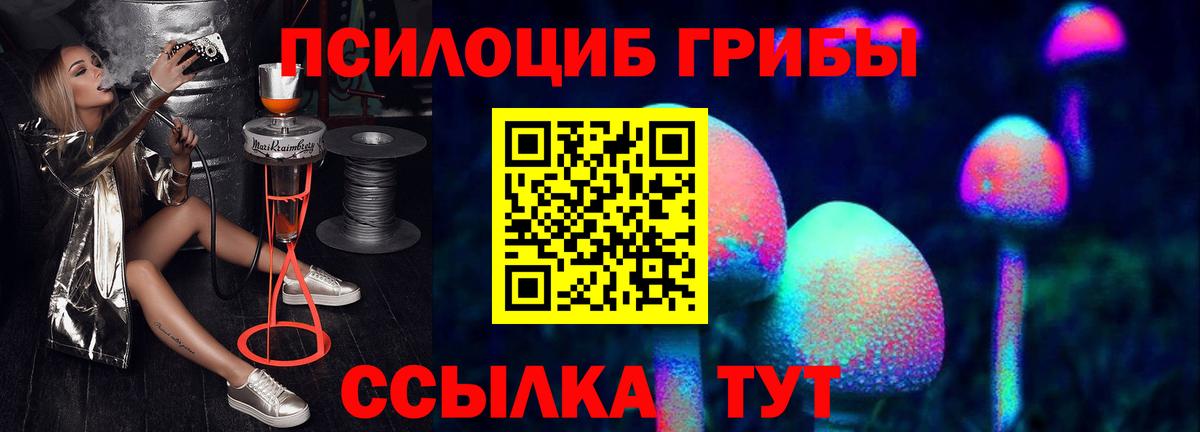 Михайловск  Псилоцибиновые грибы Psilocybine cubensis  Вход с VPN 